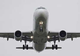 Airbus - A321 (EI-IXV) - gut zoltan