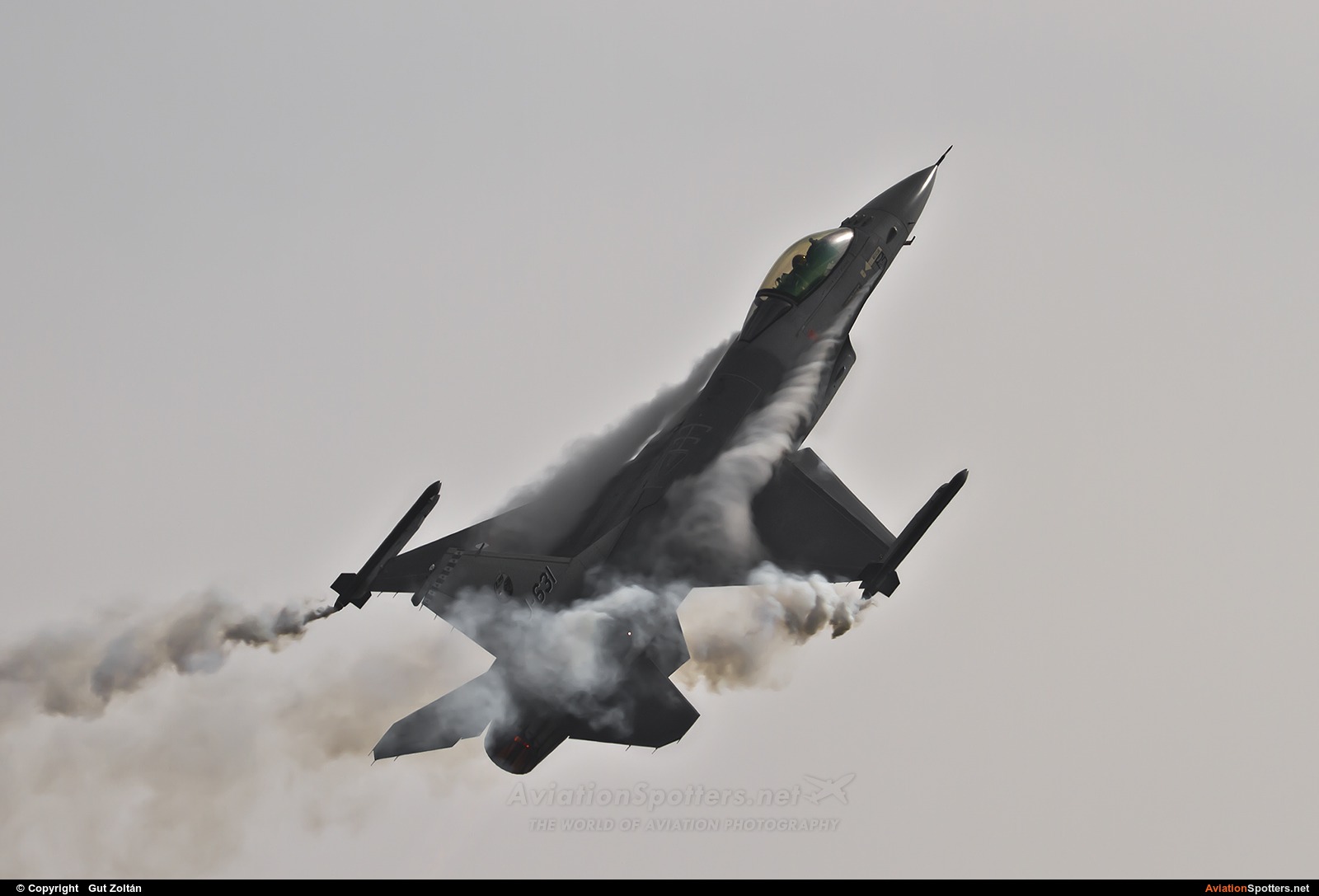 Netherlands - Air Force  -  F-16AM Fighting Falcon  (J-631) By Gut Zoltán (gut zoltan)