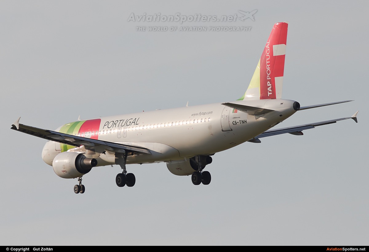 TAP Portugal  -  A320  (CS-TNH) By Gut Zoltán (gut zoltan)