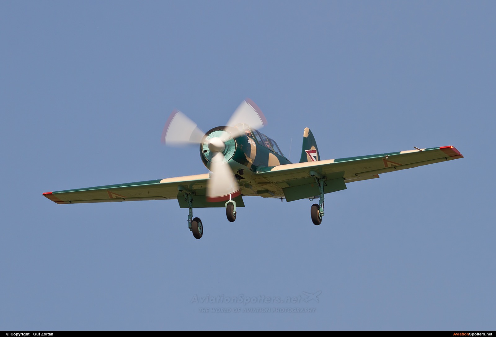 Hungary - Air Force  -  Yak-52  (09) By Gut Zoltán (gut zoltan)