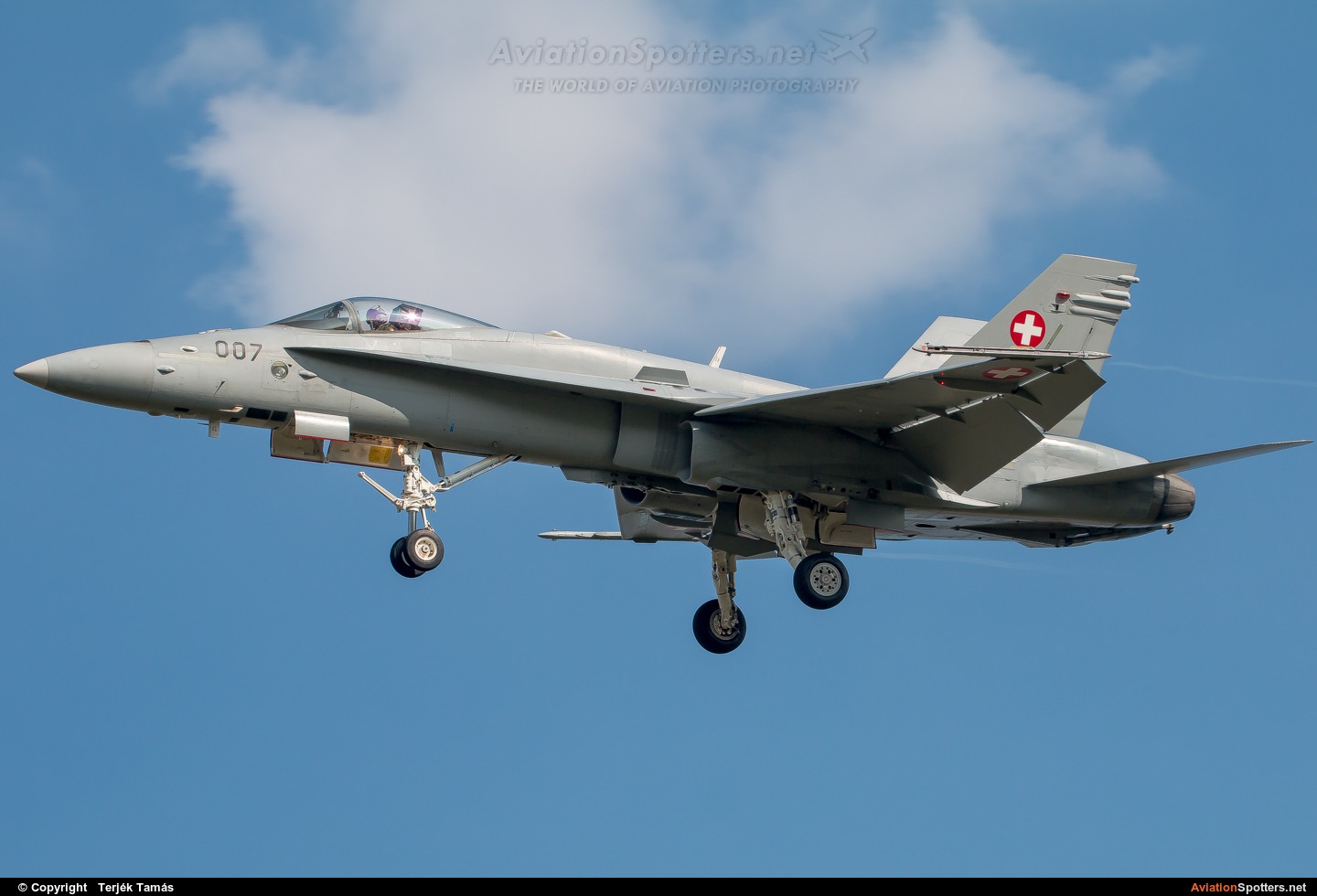 Switzerland - Air Force  -  F/A-18C Hornet  (J-5007) By Terjék Tamás (operator)