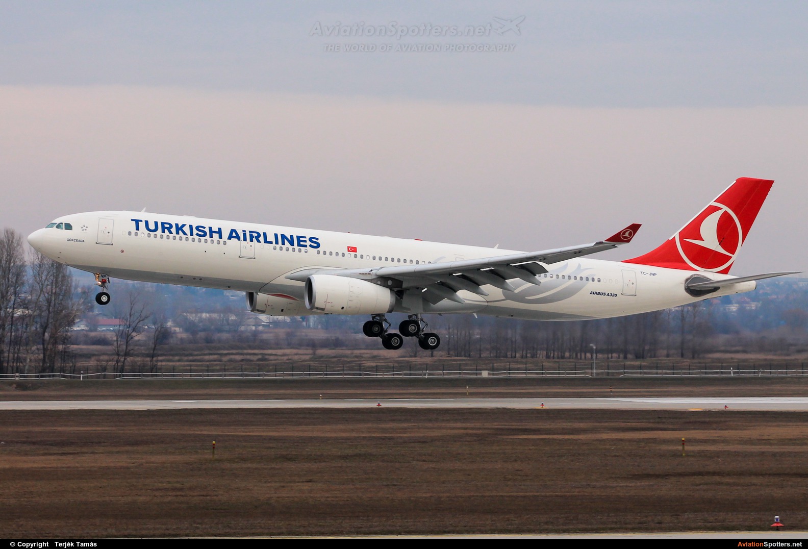 Turkish Airlines  -  A330-300  (TC-JNP) By Terjék Tamás (operator)