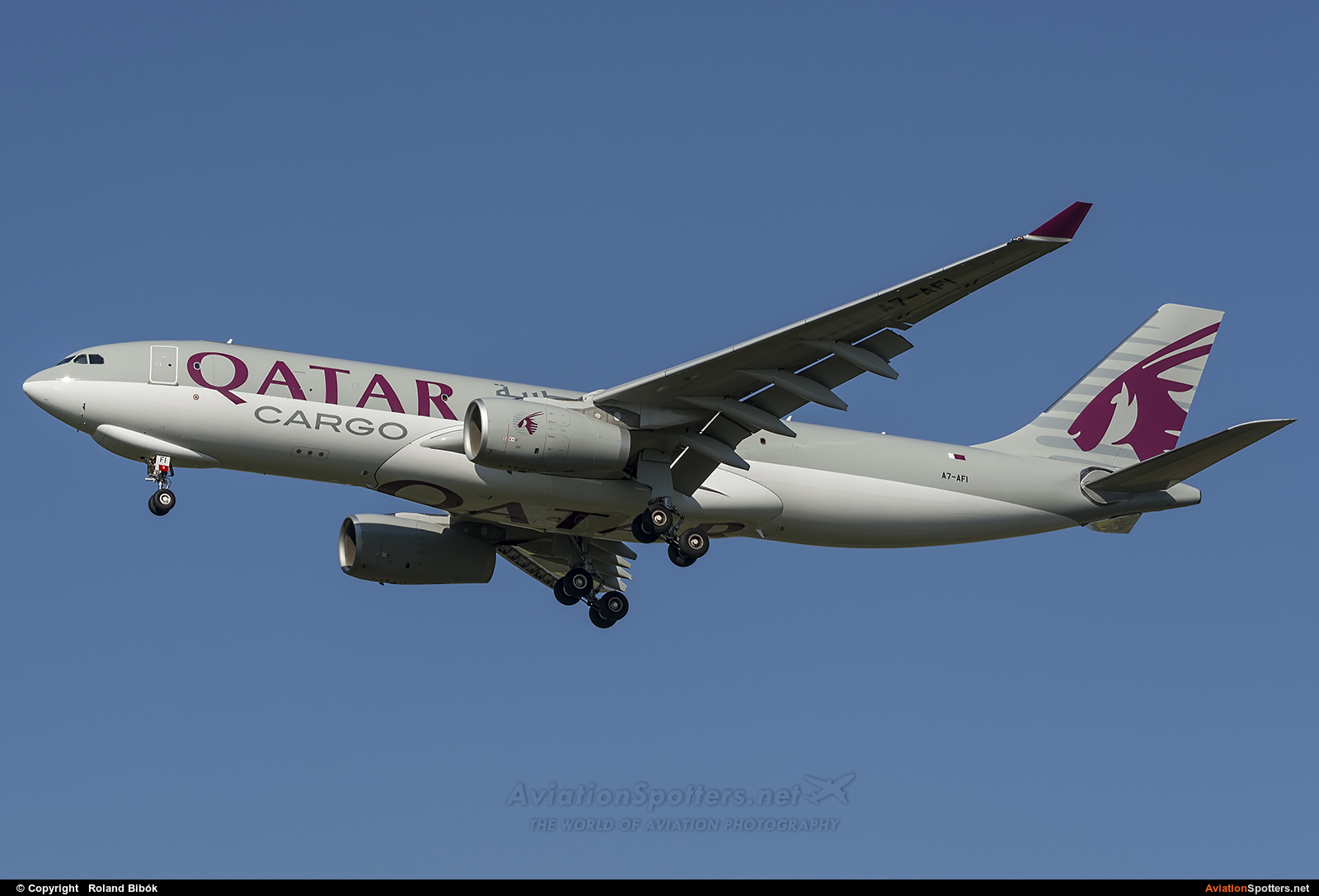 Qatar Airways Cargo  -  A330-243  (A7-AFI) By Roland Bibók (Roland Bibok)