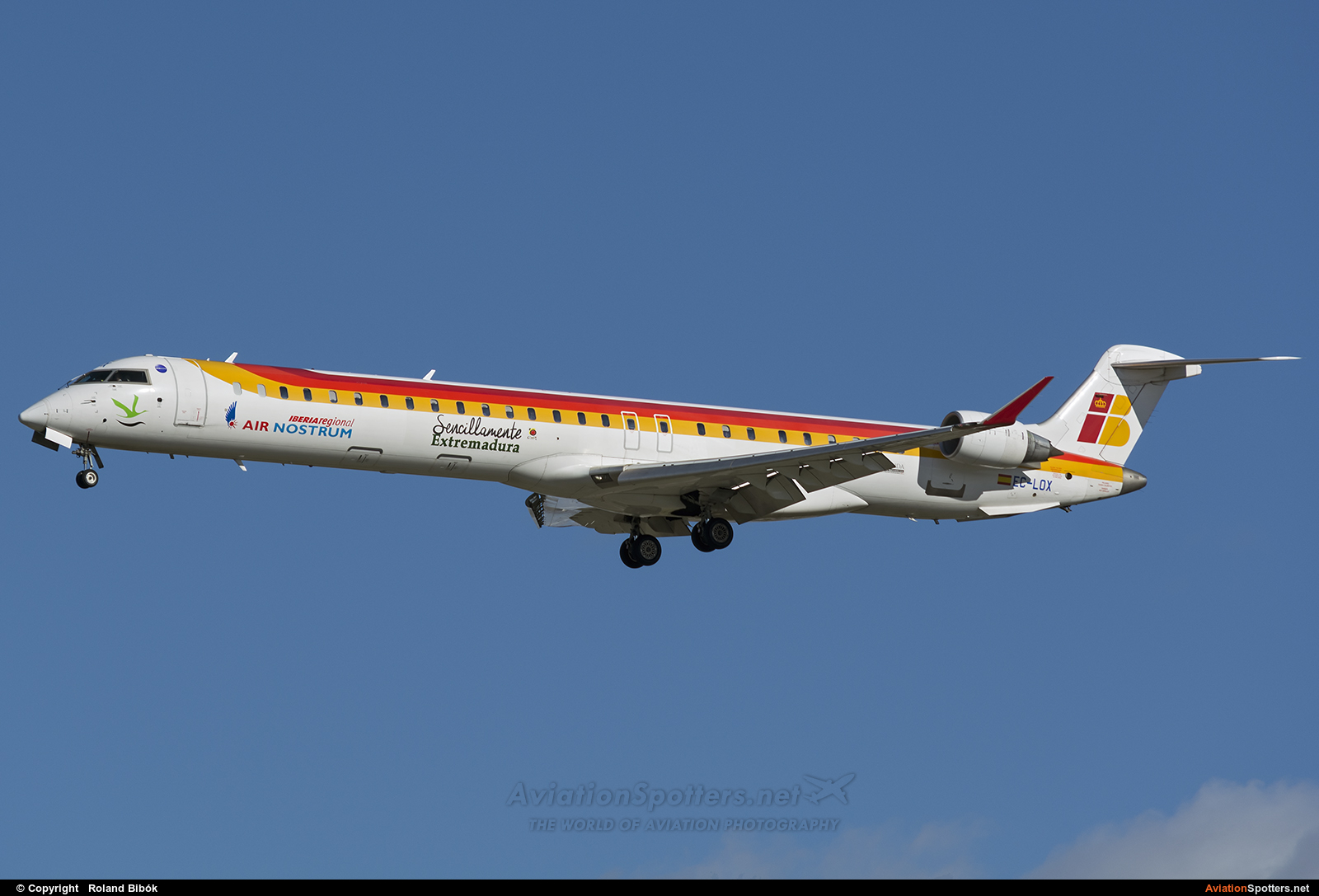 Air Nostrum - Iberia Regional  -  CL-600 Regional Jet CRJ-1000  (EC-LOX) By Roland Bibók (Roland Bibok)