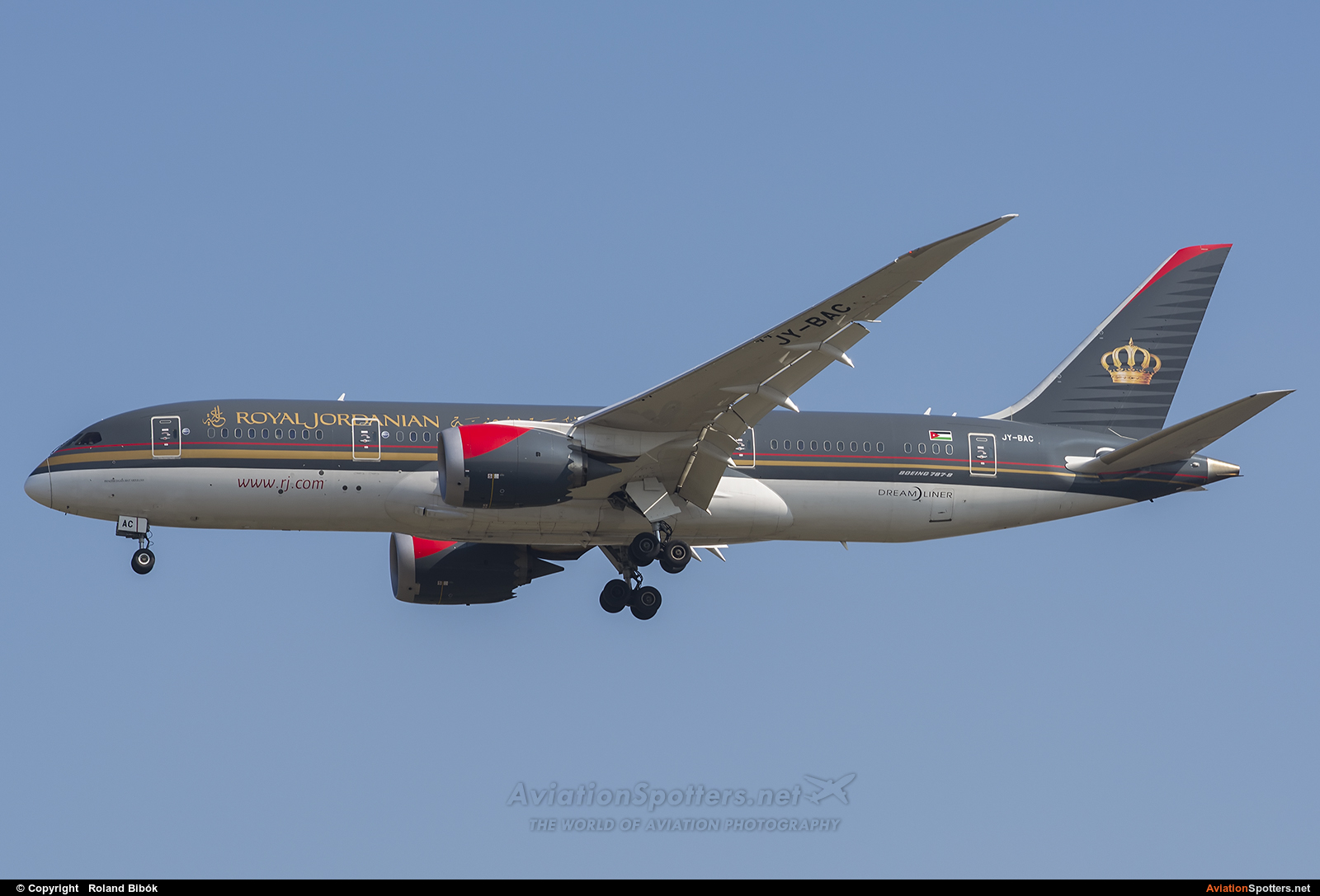 Royal Jordanian Airline  -  787-8 Dreamliner  (JY-BAC) By Roland Bibók (Roland Bibok)