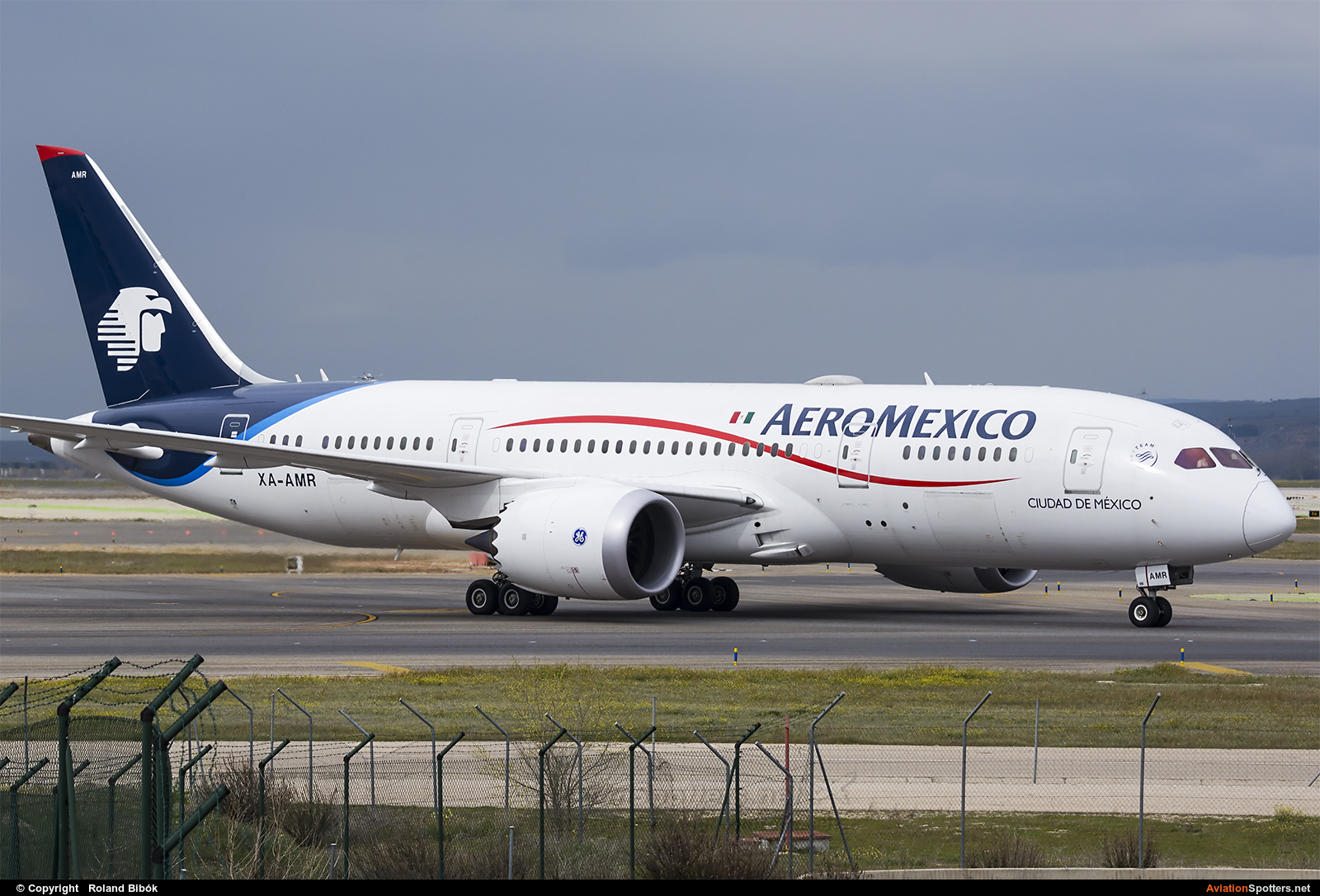 Aeromexico  -  787-8 Dreamliner  (XA-AMR) By Roland Bibók (Roland Bibok)