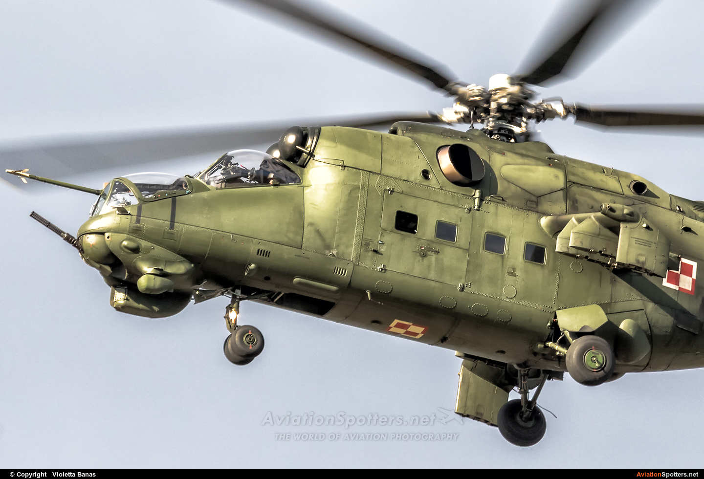 Poland - Army  -  Mi-24D  (270) By Violetta Banas (akant)