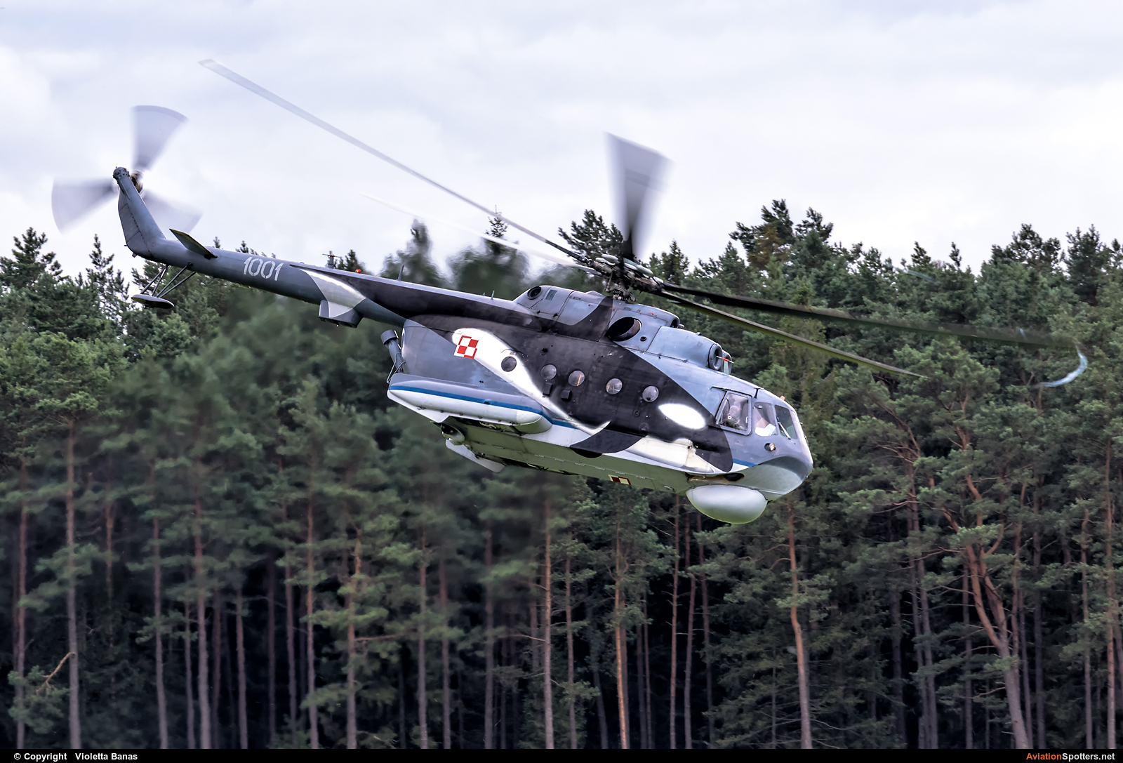 Poland - Navy  -  Mi-14PL  (1001) By Violetta Banas (akant)