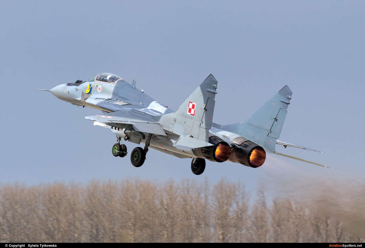 Poland - Air Force  -  MiG-29  (38) By Sylwia Tylkowska (aviro)