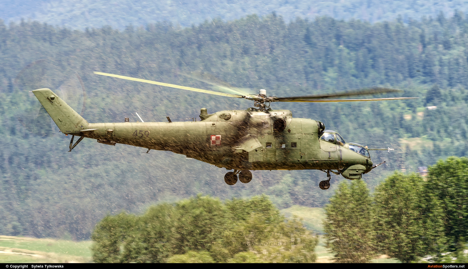 Poland - Army  -  Mi-24D  (459) By Sylwia Tylkowska (aviro)