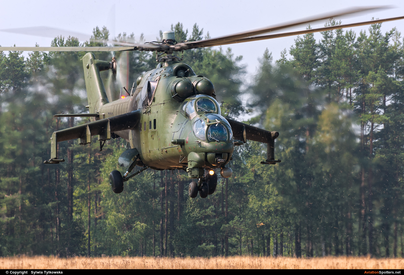Poland - Army  -  Mi-24W  (732) By Sylwia Tylkowska (aviro)