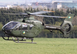 Eurocopter - EC135 (all models) (271) - Paultojo