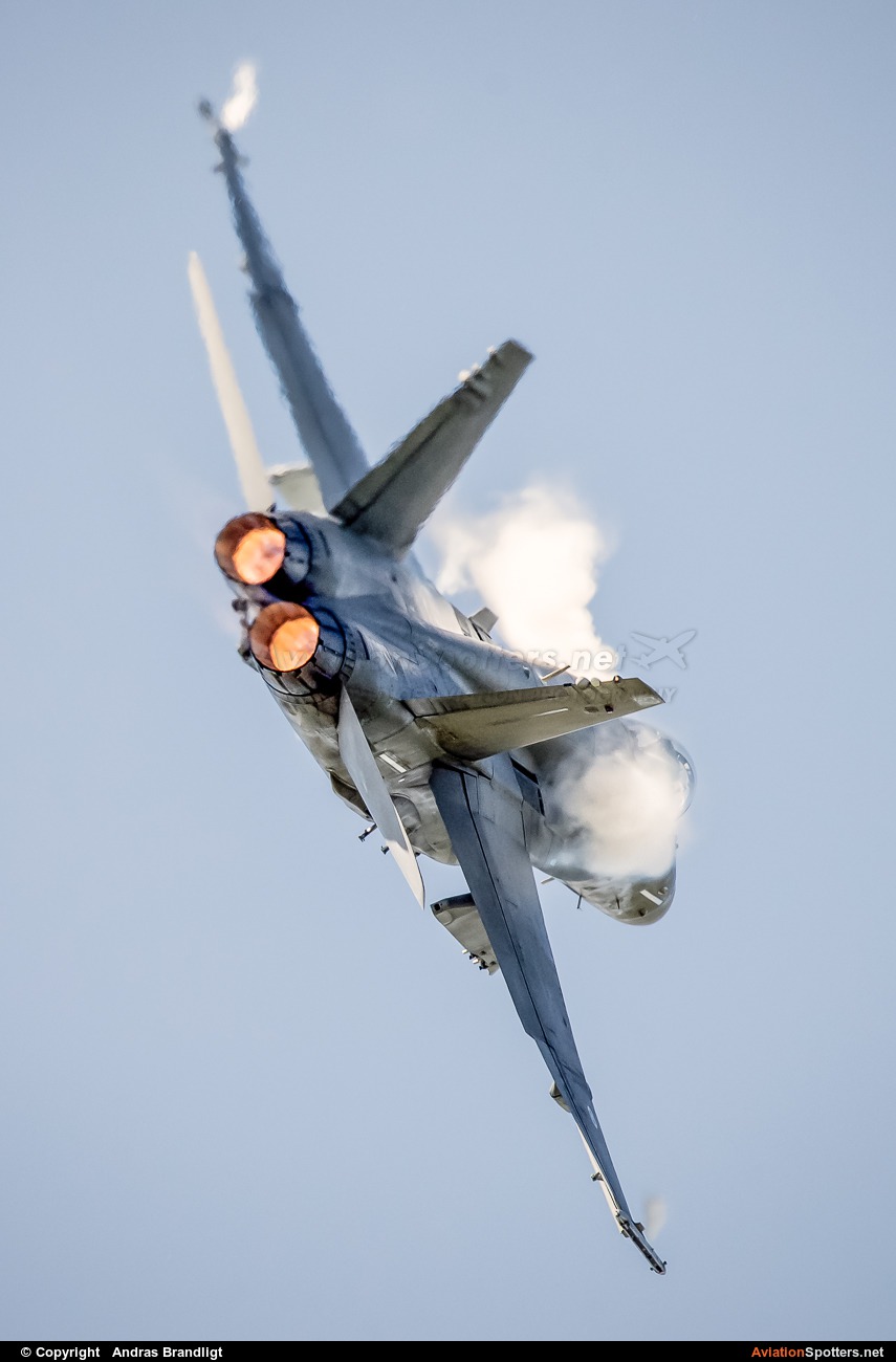 Finland - Air Force  -  F/A-18C Hornet  (HN-452) By Andras Brandligt (Andras)