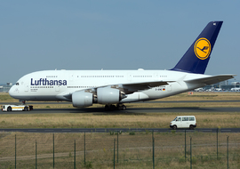 Airbus - A380-841 (D-AIME) - sas1965