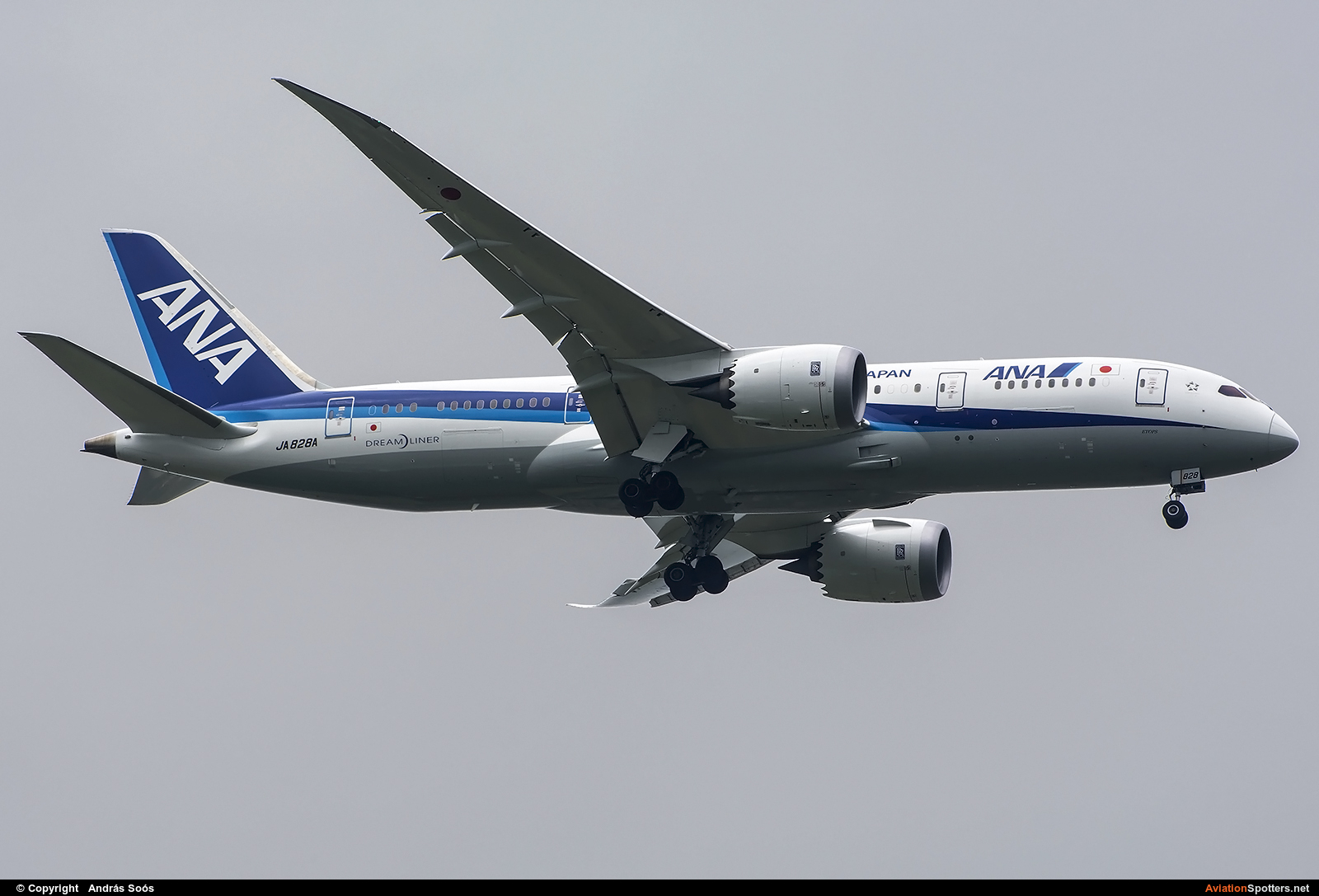 ANA - All Nippon Airways  -  787-8 Dreamliner  (JA828A) By András Soós (sas1965)