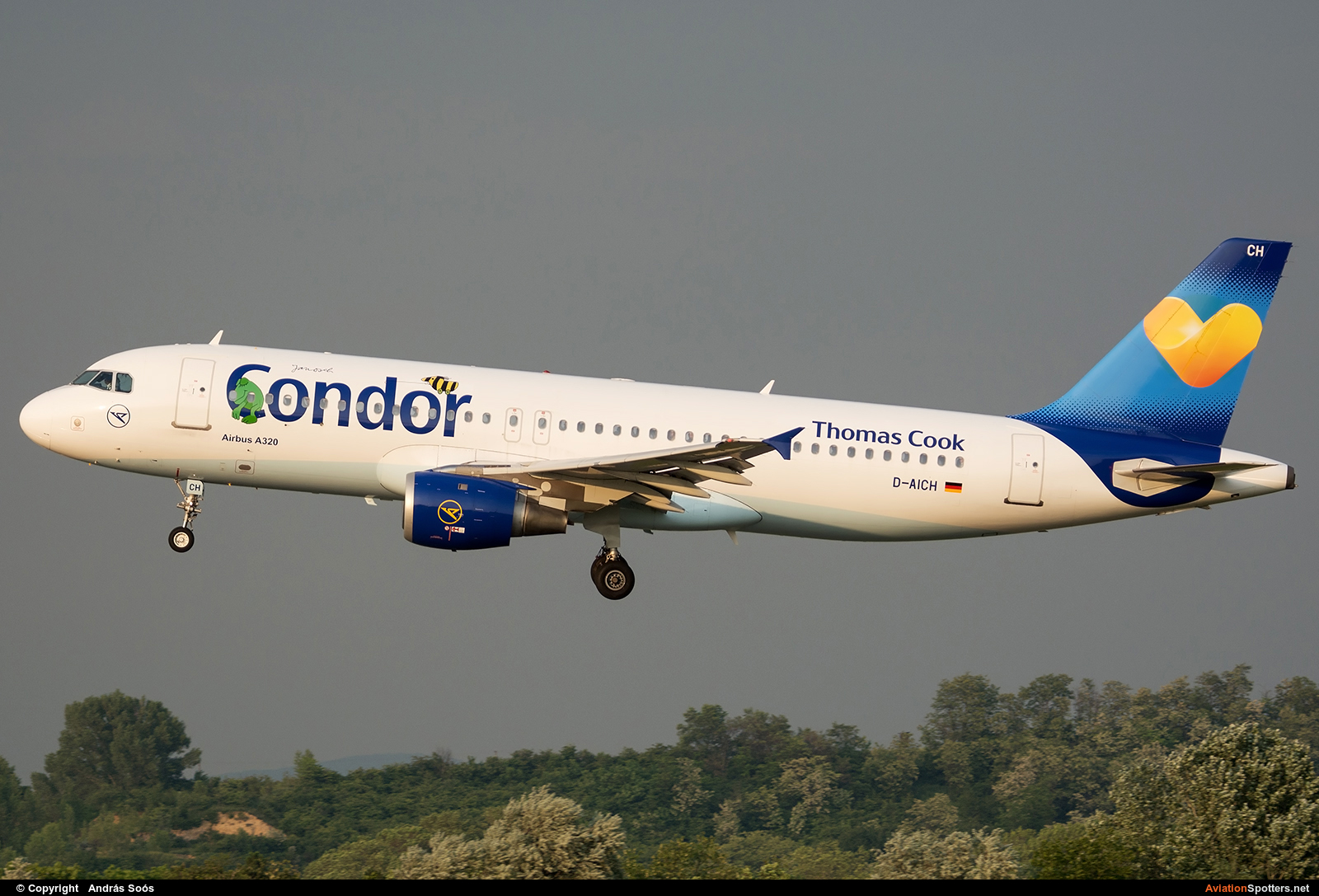 Condor  -  A320  (D-AICH) By András Soós (sas1965)