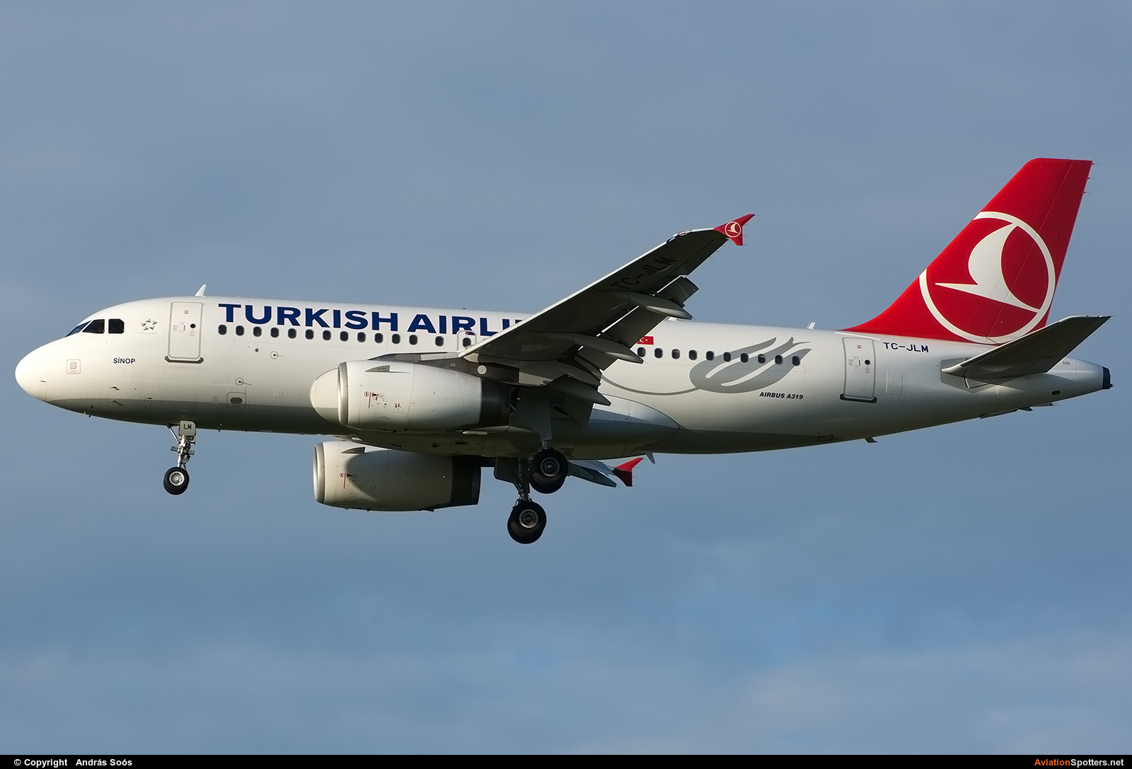 Turkish Airlines  -  A319  (TC-JLM) By András Soós (sas1965)