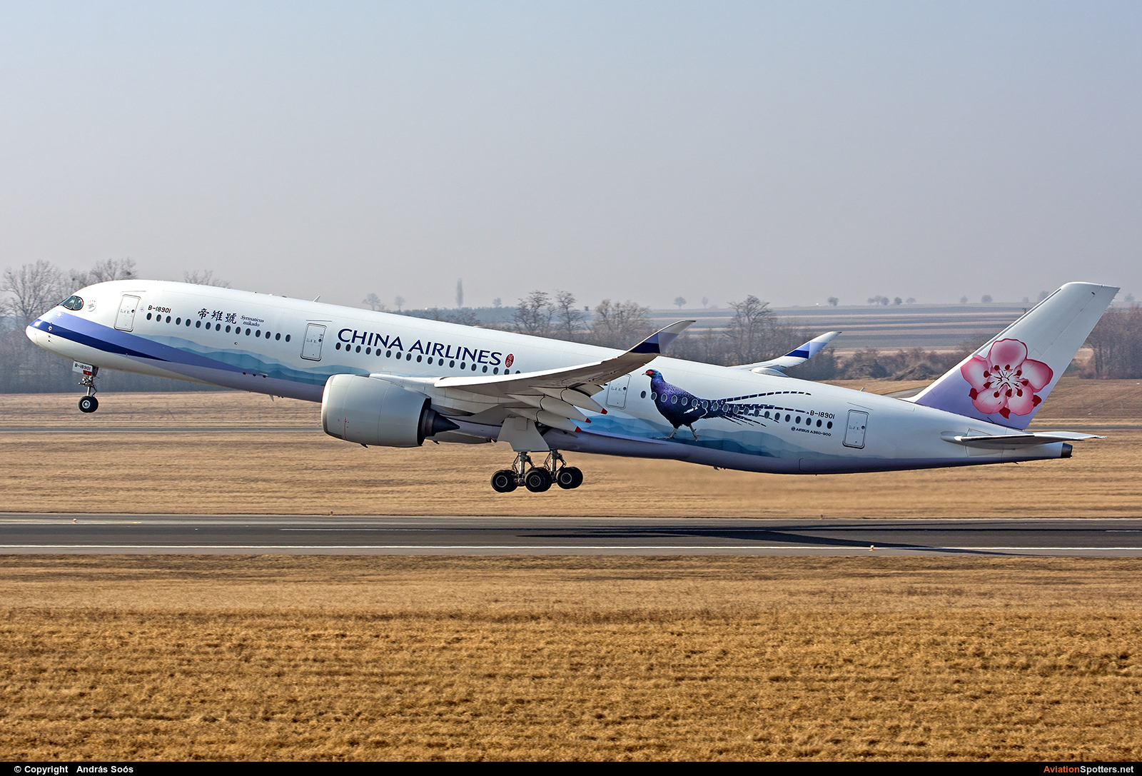China Airlines  -  A350-900  (B-18901) By András Soós (sas1965)