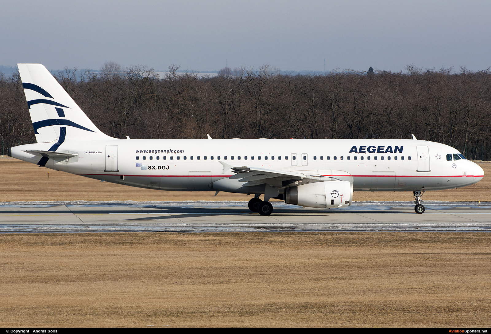 Aegean Airlines  -  A320  (SX-DGJ) By András Soós (sas1965)