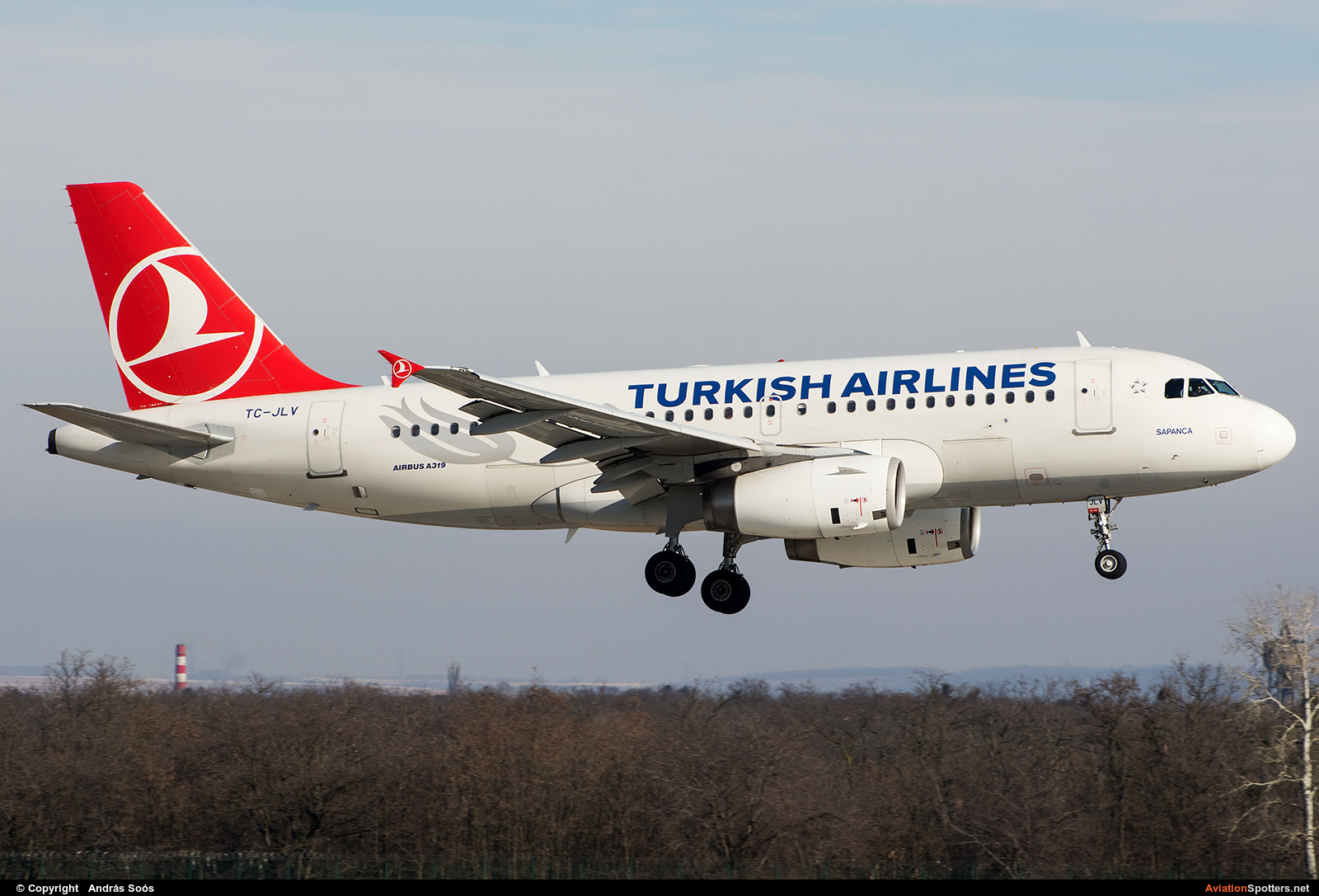 Turkish Airlines  -  A319-132  (TC-JLV) By András Soós (sas1965)