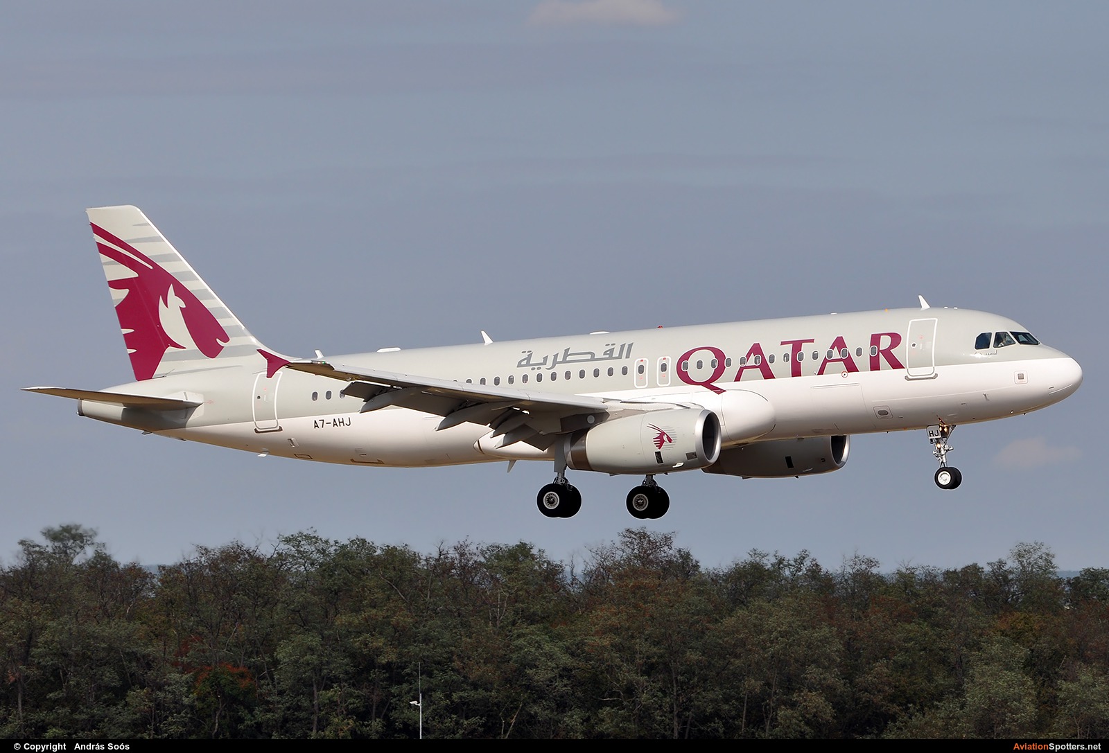 Qatar Airways  -  A320  (A7-AHJ) By András Soós (sas1965)