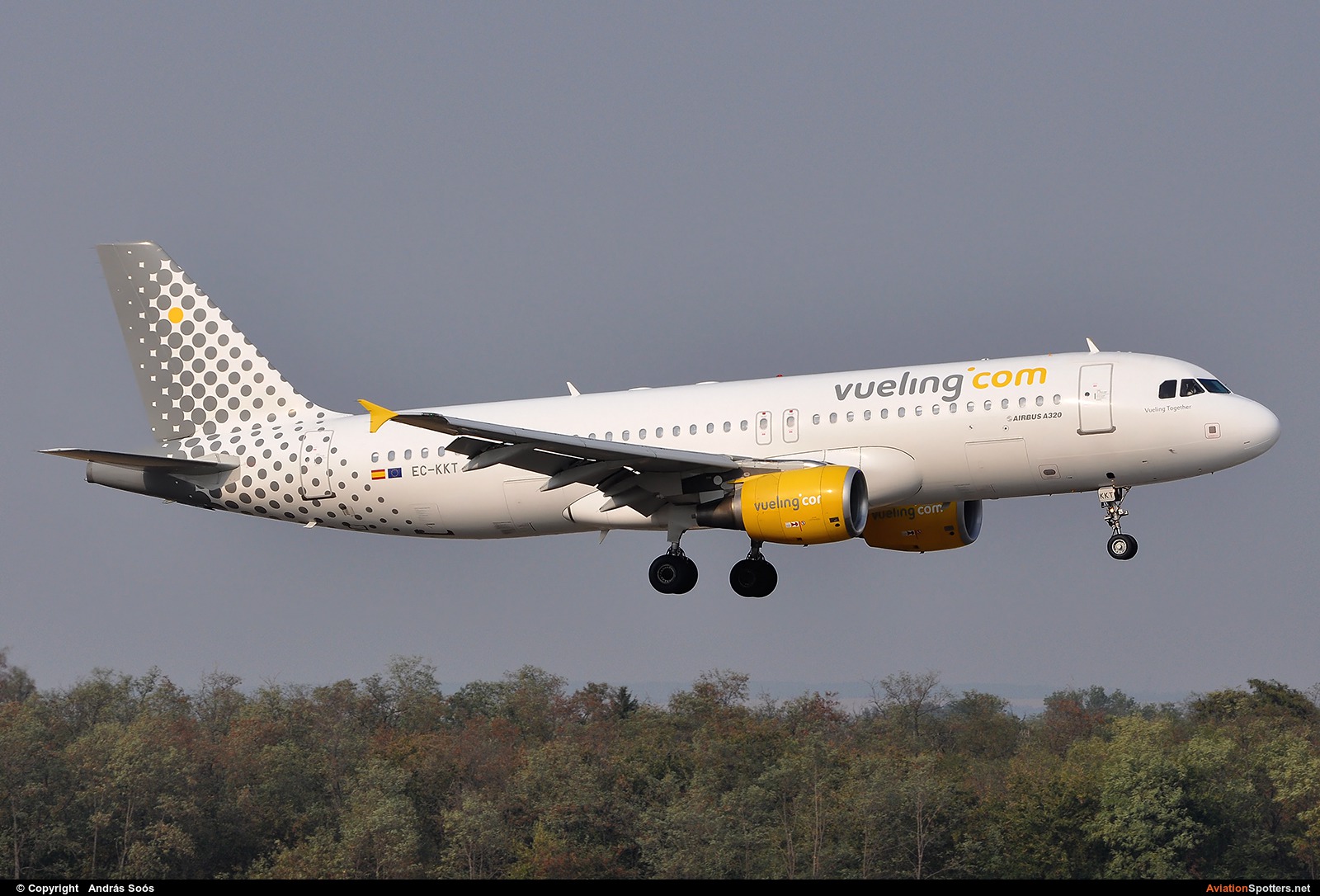 Vueling Airlines  -  A320  (EC-KKT) By András Soós (sas1965)