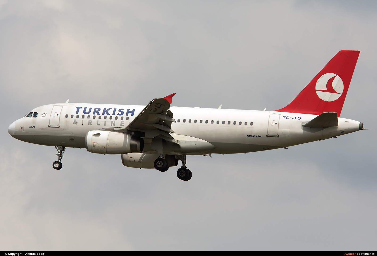 Turkish Airlines  -  A319  (TC-JLO) By András Soós (sas1965)