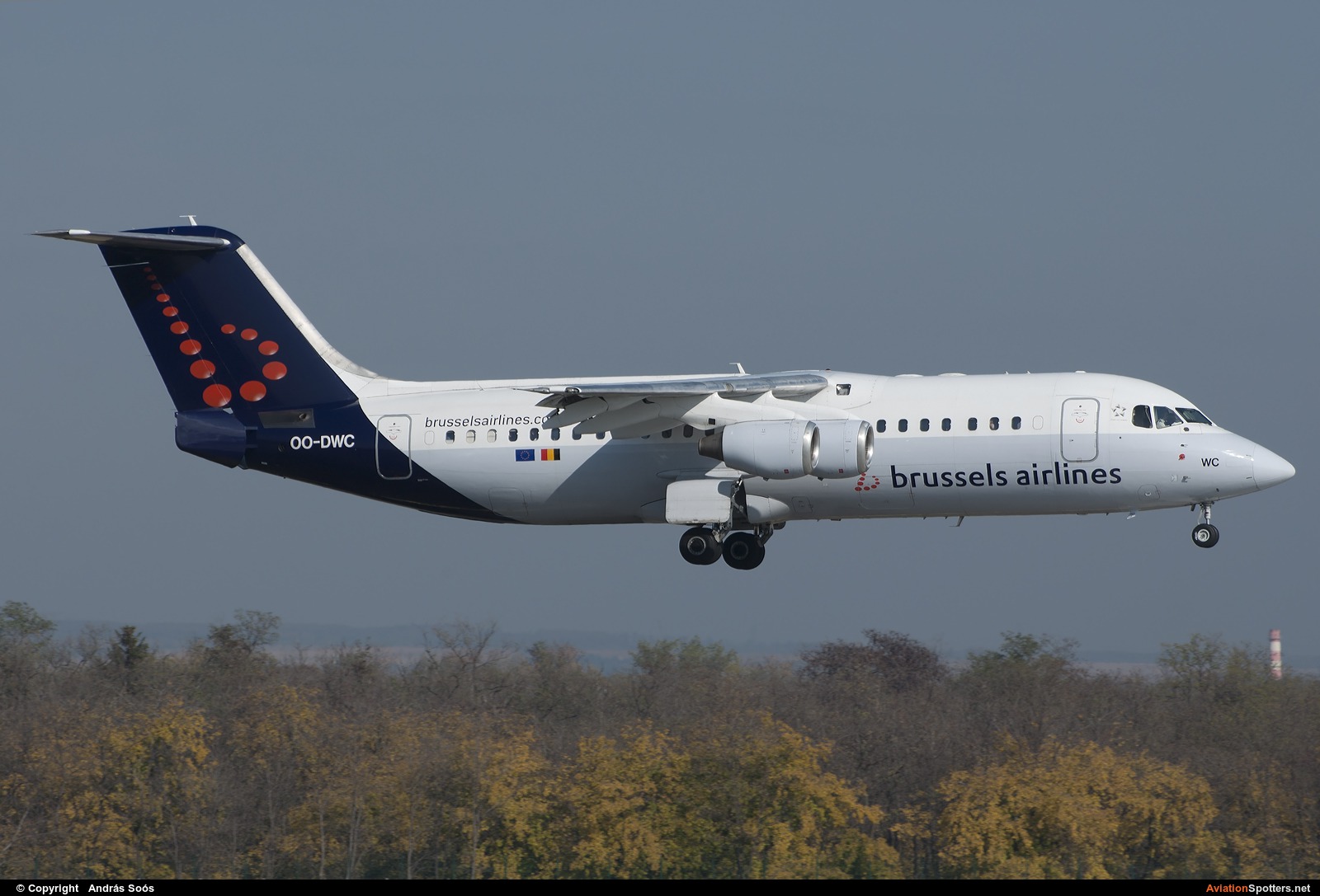 Brussels Airlines  -  BAe 146-300-Avro RJ100  (OO-DWC) By András Soós (sas1965)