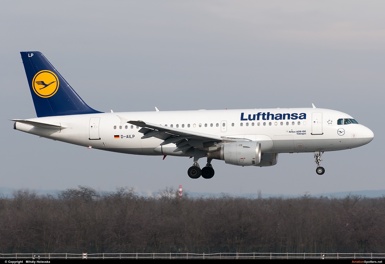 Lufthansa  -  A319  (D-AILP) By Mihály Holecska (Misixx)
