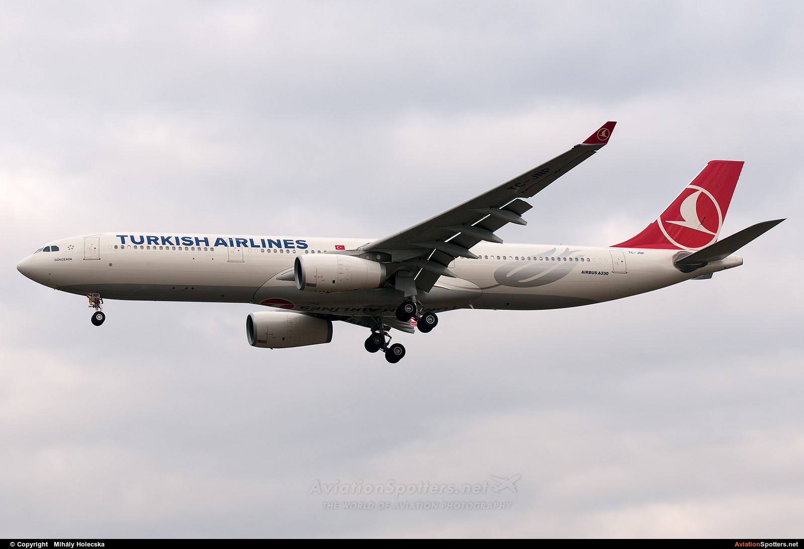Turkish Airlines  -  A330-300  (TC-JNP) By Mihály Holecska (Misixx)