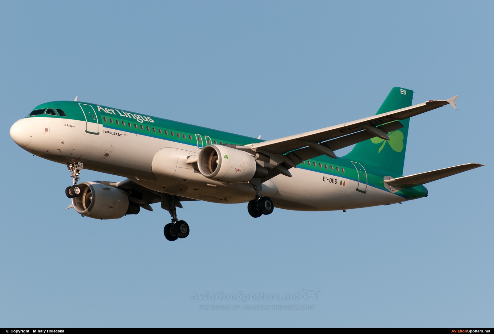 Aer Lingus  -  A320  (EI-DES) By Mihály Holecska (Misixx)