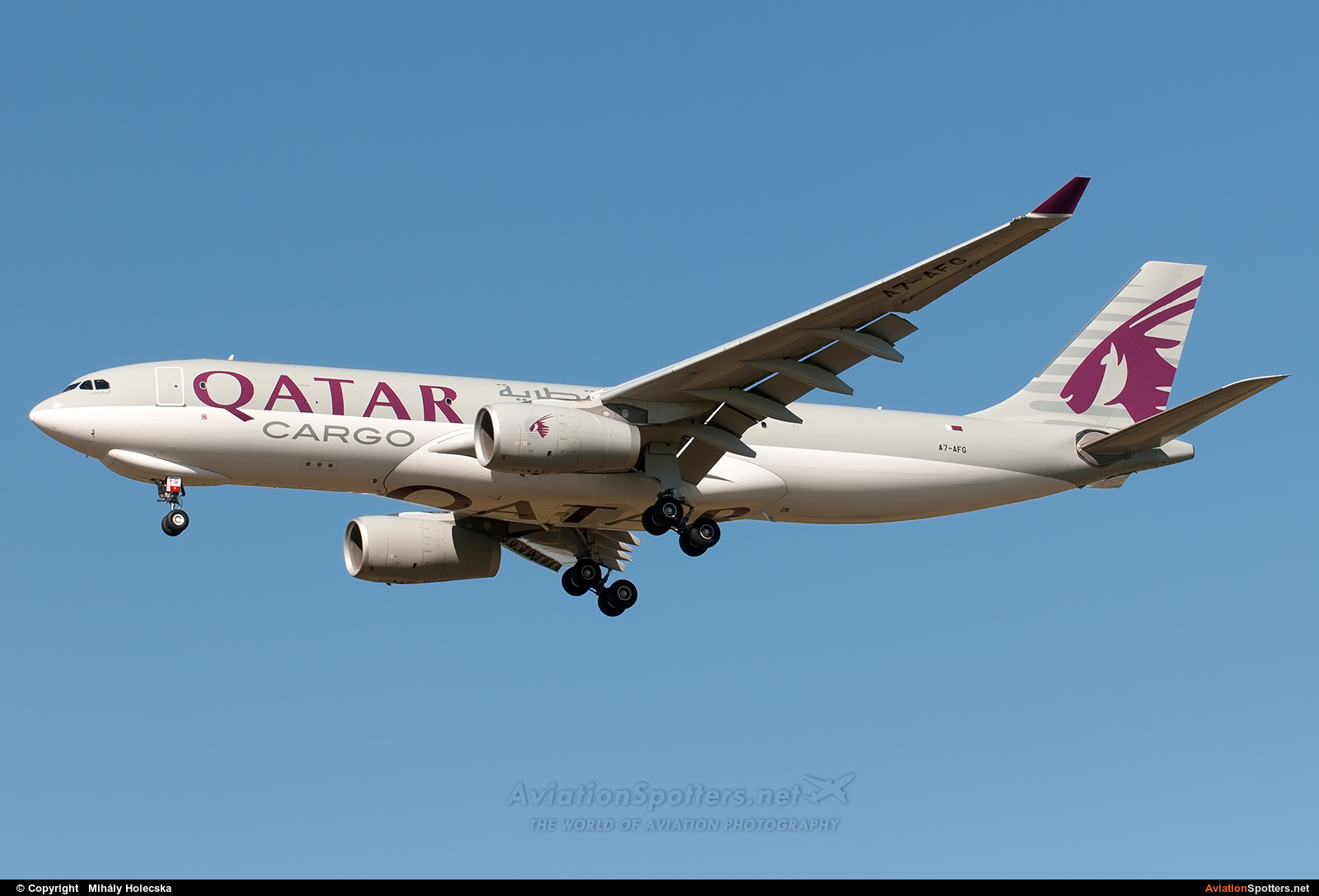 Qatar Airways Cargo  -  A330-200F  (A7-AFG) By Mihály Holecska (Misixx)
