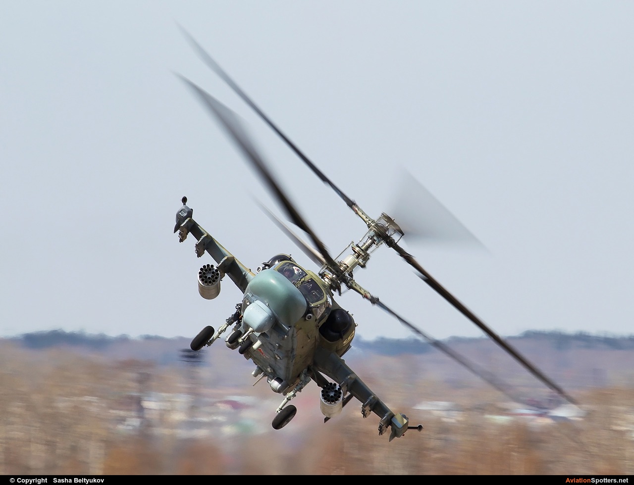 Russia - Air Force  -  Ka-52 Alligator  (91) By Sasha Beltyukov (Franziskaner)