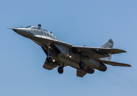 Mikoyan-Gurevich - MiG-29UB (1303) - Spawn