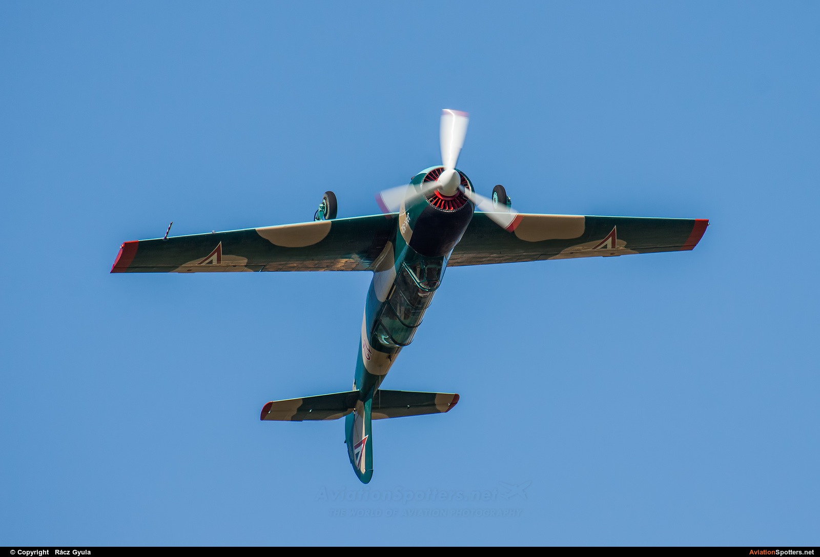 Hungary - Air Force  -  Yak-52  (12) By Rácz Gyula (Spawn)
