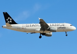 Airbus - A320 (D-AIPD) - norber