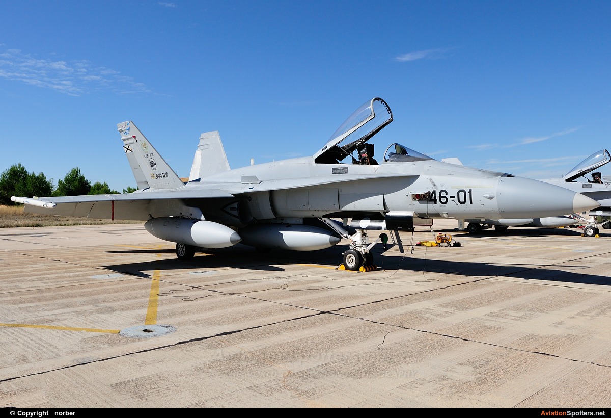 Spain - Air Force  -  EF-18A Hornet  (C.15-73) By norber (norber)