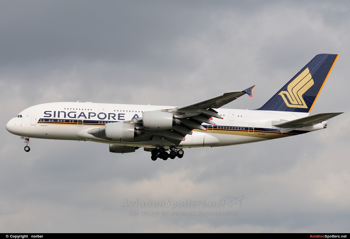 Singapore Airlines  -  A380-841  (9V-SKS) By norber (norber)