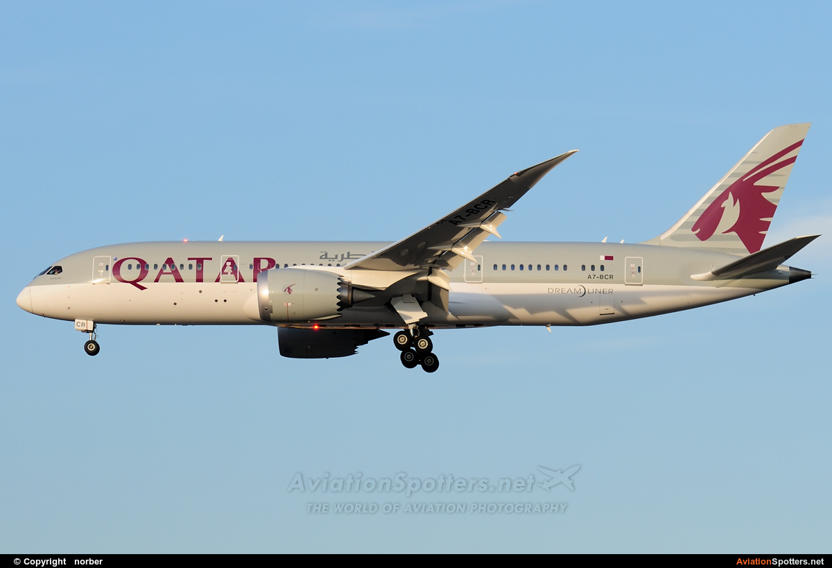 Qatar Airways  -  787-8 Dreamliner  (A7-BCR) By norber (norber)
