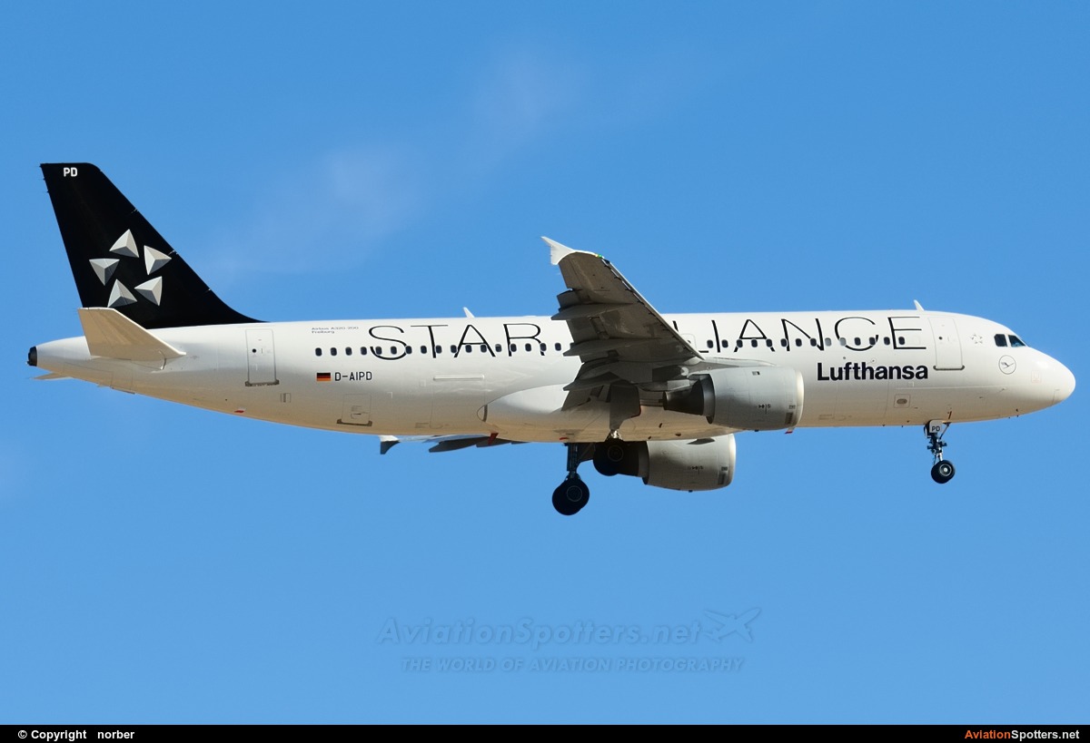 Lufthansa  -  A320  (D-AIPD) By norber (norber)